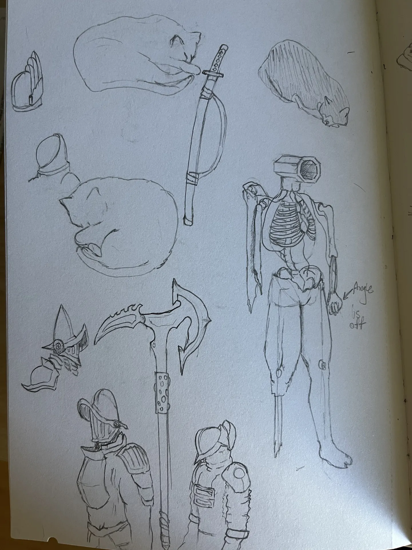 Skeleton anatomy study with weapon and armor concepts