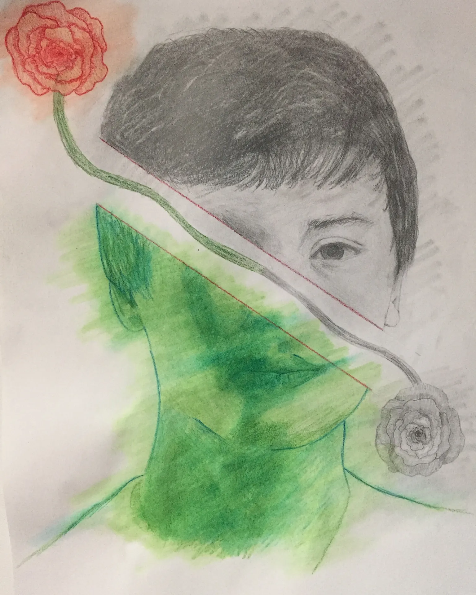 Portrait study with rose and green wash