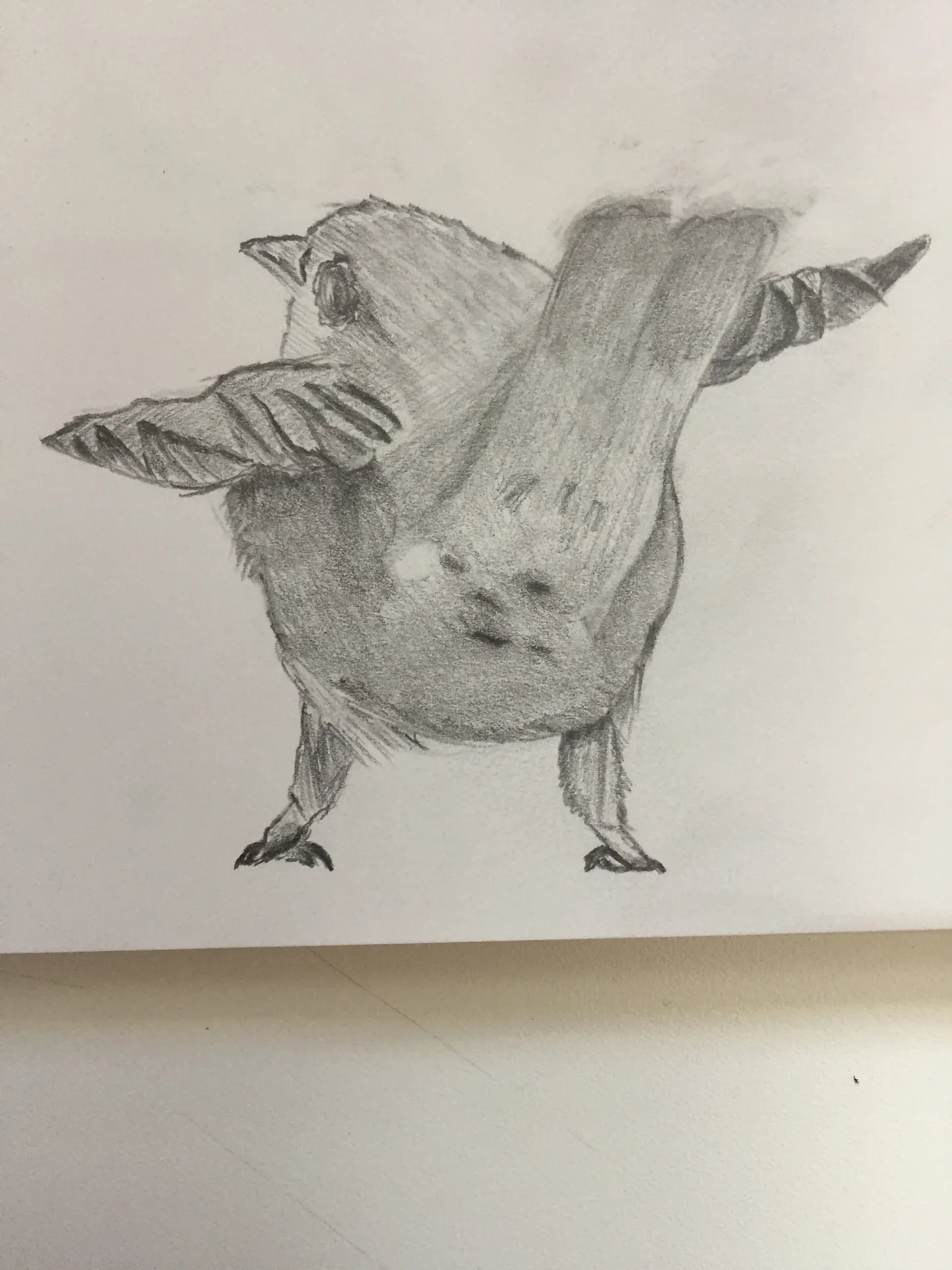 Graphite study of a bird