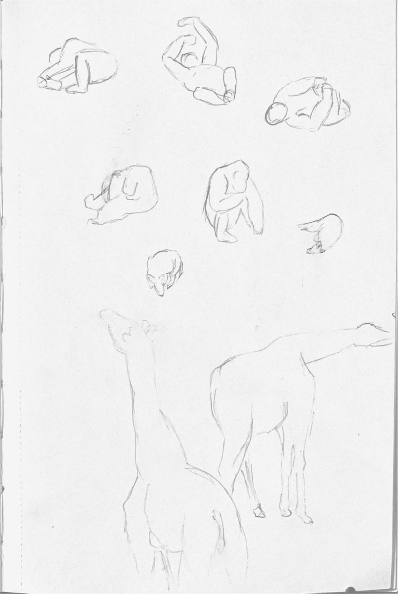 Still life observational study page 4