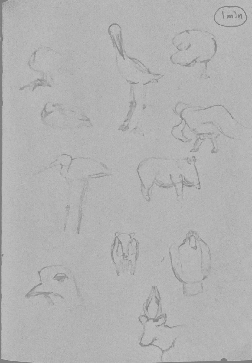 Still life observational study page 10