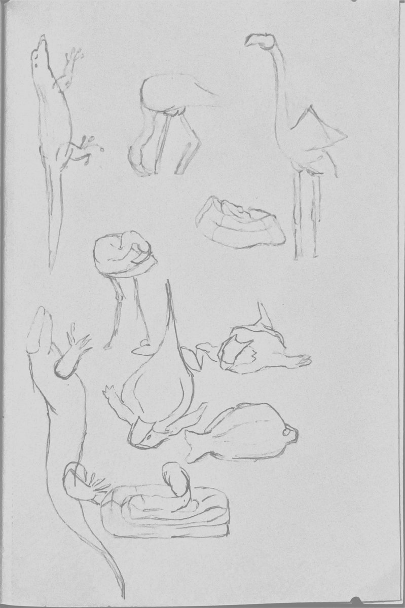 Still life observational study page 11