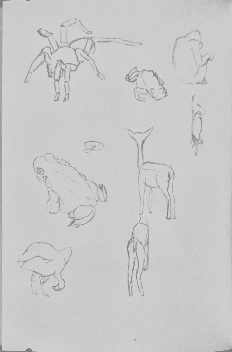 Still life observational study page 12